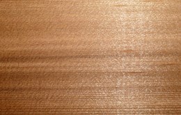 Western Red Cedar
